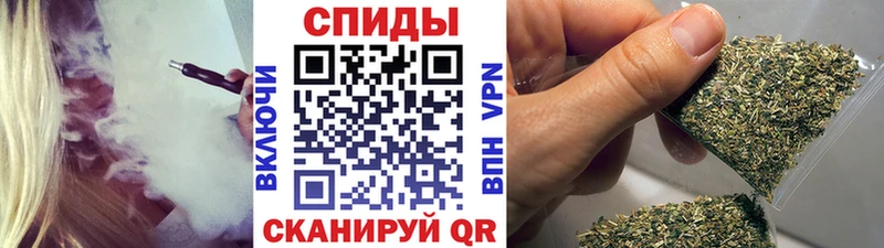 блэк спрут зеркало  Красноперекопск  Бутират BDO 