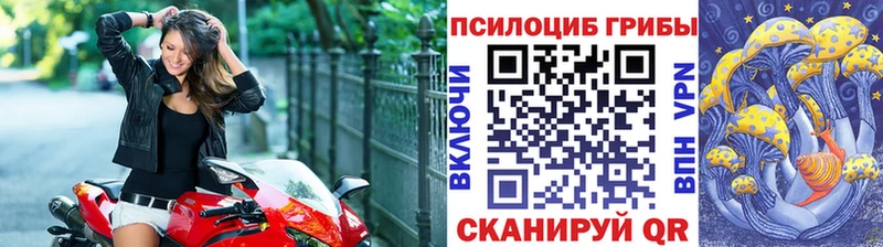 купить наркоту  Красноперекопск  Псилоцибиновые грибы Cubensis 