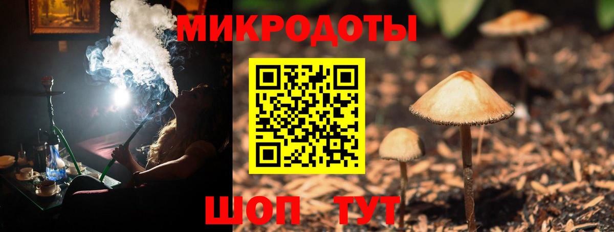 Псилоцибиновые грибы Cubensis  Псилоцибиновые грибы прущие грибы  Вход с VPN  Красноперекопск 